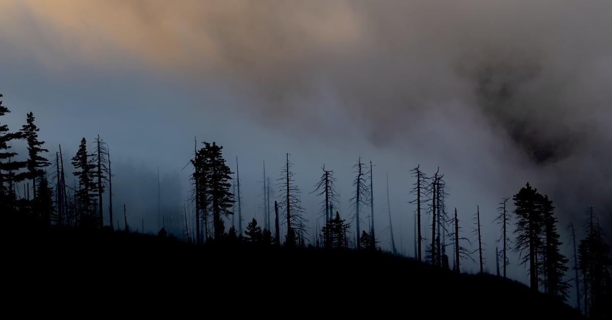 Smoke hovers above the trees from a forest fire - Stock Image.