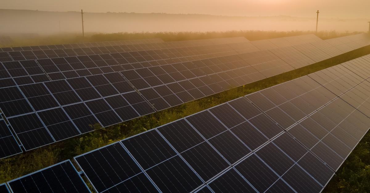 Solar panels in a sunny, foggy field.