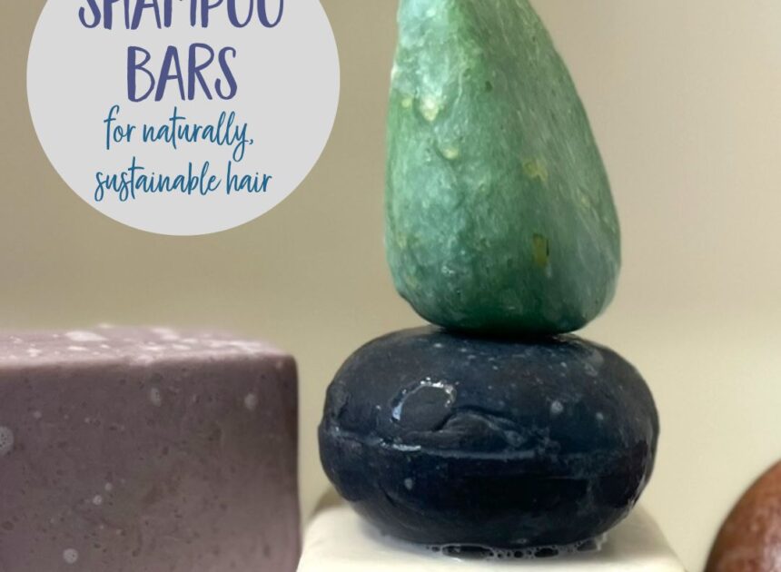 Most interesting Pure Shampoo Bars for Sustainable, Healthful Hair